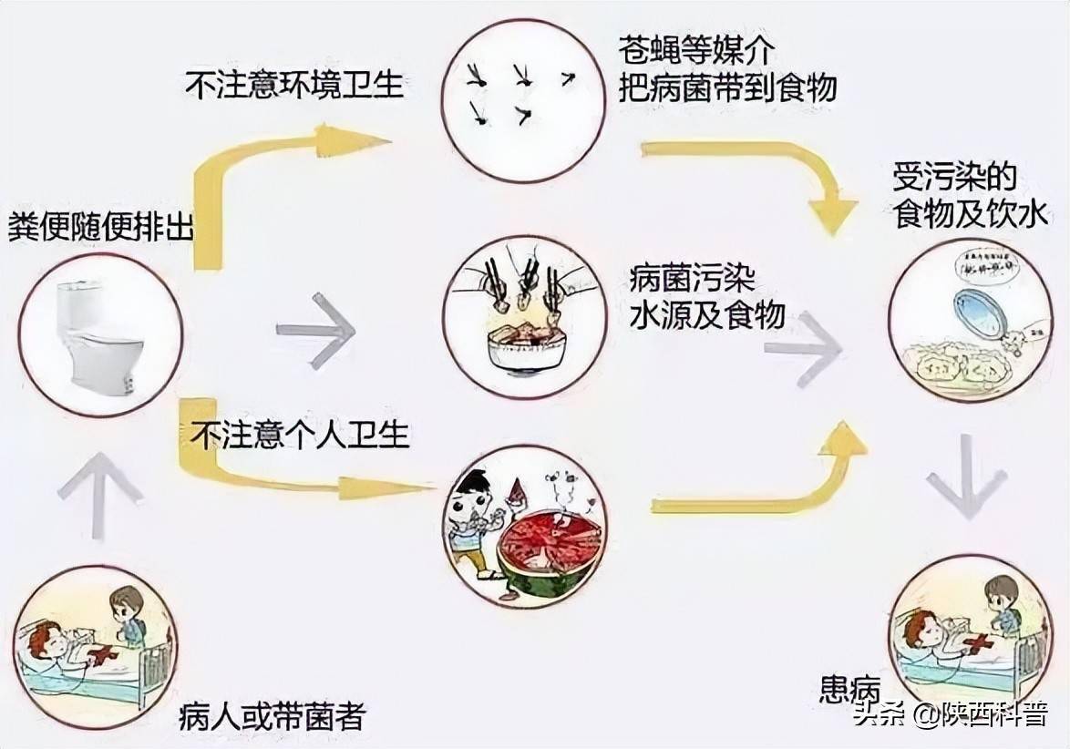 霍乱是什么 来自搜狐网