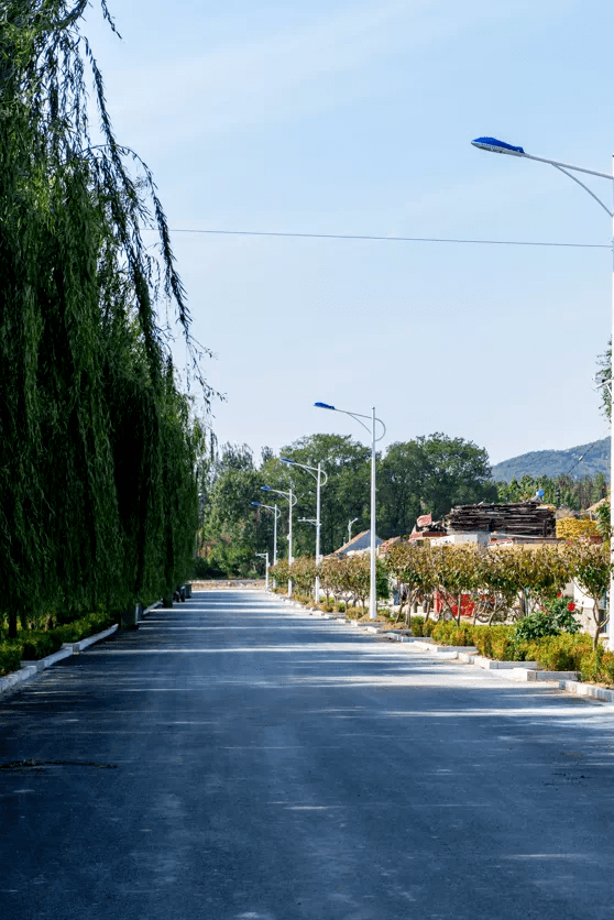 快来pick你心中的最美乡村!_崂山_晓望村_特色