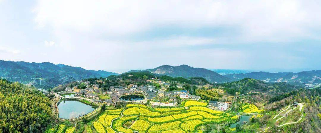 2022年麻城传统村落有奖征文获奖揭晓_杏花村_木子店镇_奖金