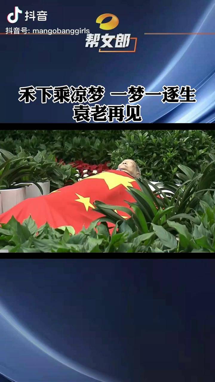 禾下乘凉梦一梦一逐生袁老再见送别袁隆平