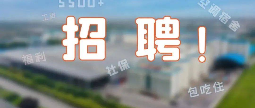招聘丨多个岗位,本次一网打尽!_公司_社保_食宿