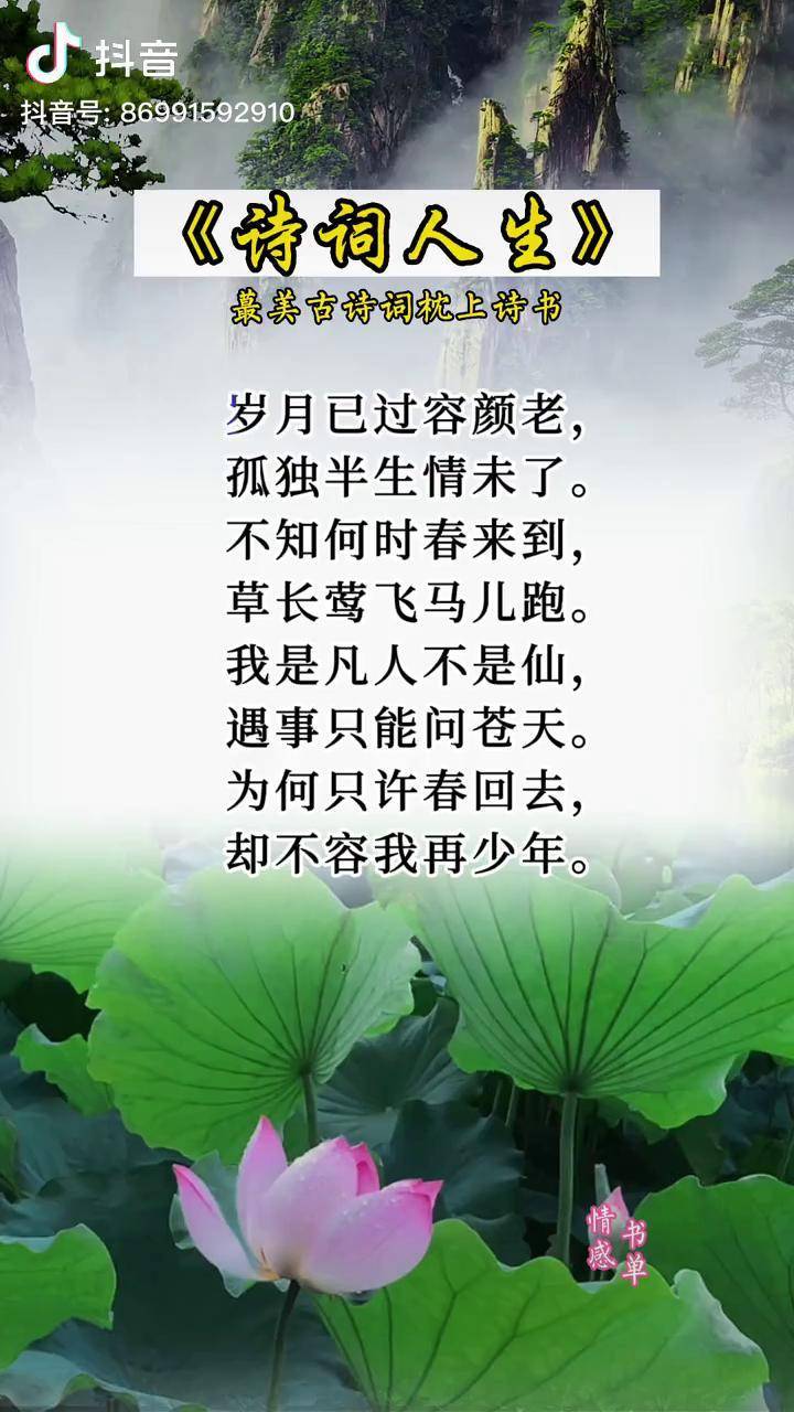 岁月已过容颜老孤独半生情未了诗词情感书单情感书单枕上诗书经典语录