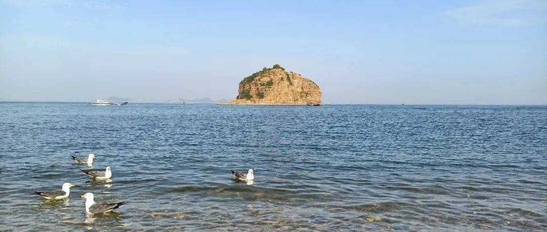 关于大连——风景如画的棒棰岛_景区_石家庄_内容