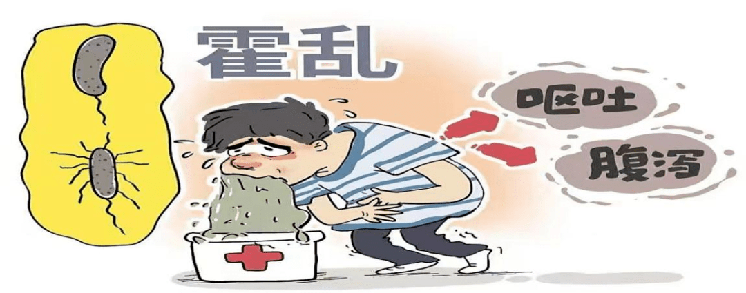 碰见霍乱,你别乱!_病人_粪便_症状