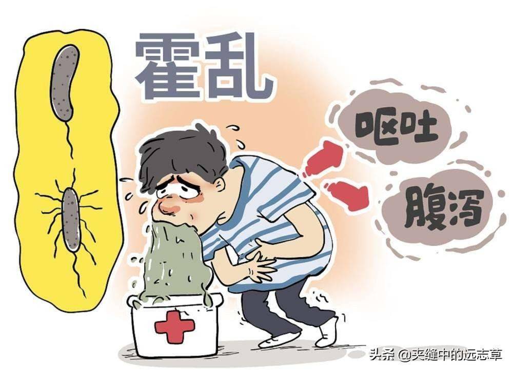 武大出现霍乱别慌送你一剂藿香正气水解表除湿芳香辟秽