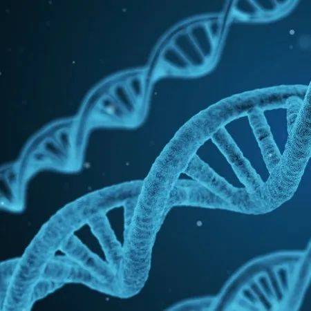 全球首款！再鼎医药 FcRn 抑制剂申报上市，国内另有 3 款临近报上市_治疗_抗体_强生尼卡利