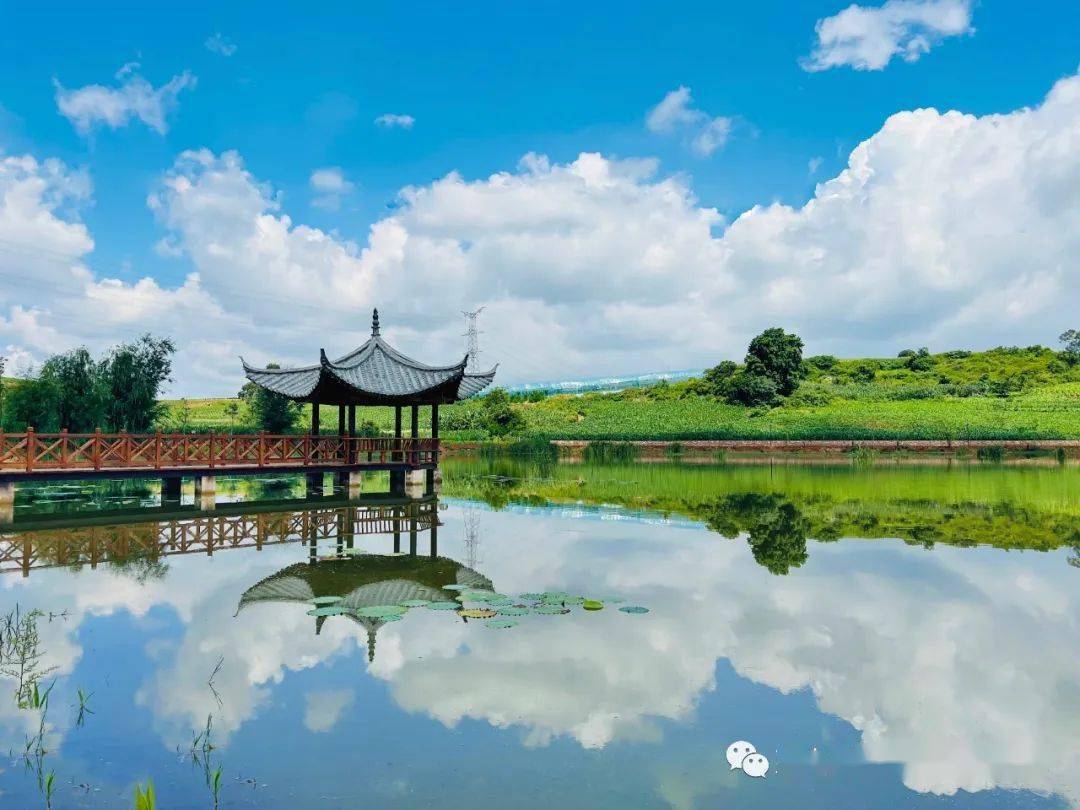 乡村振兴来岔科镇黑土村打卡从这里感受七彩岔科