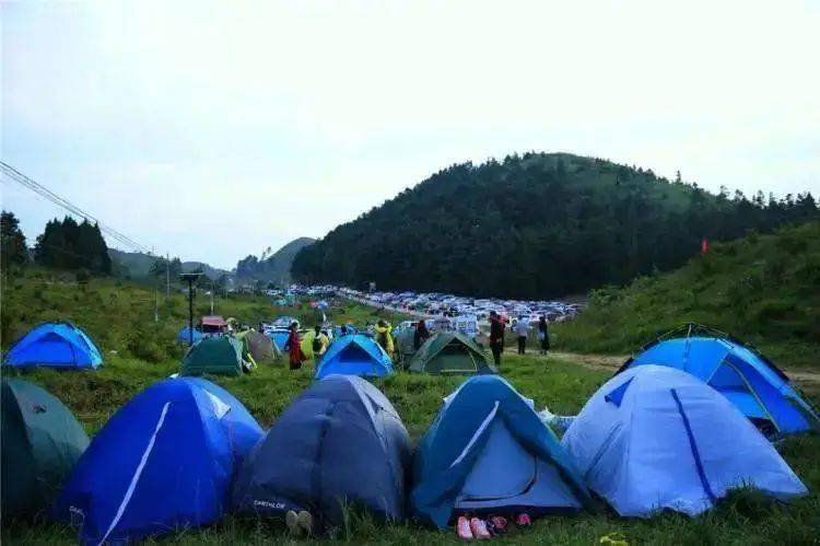 夏日狂欢35元享千野草场门票周末节假日通用超长核销期限量200张售完