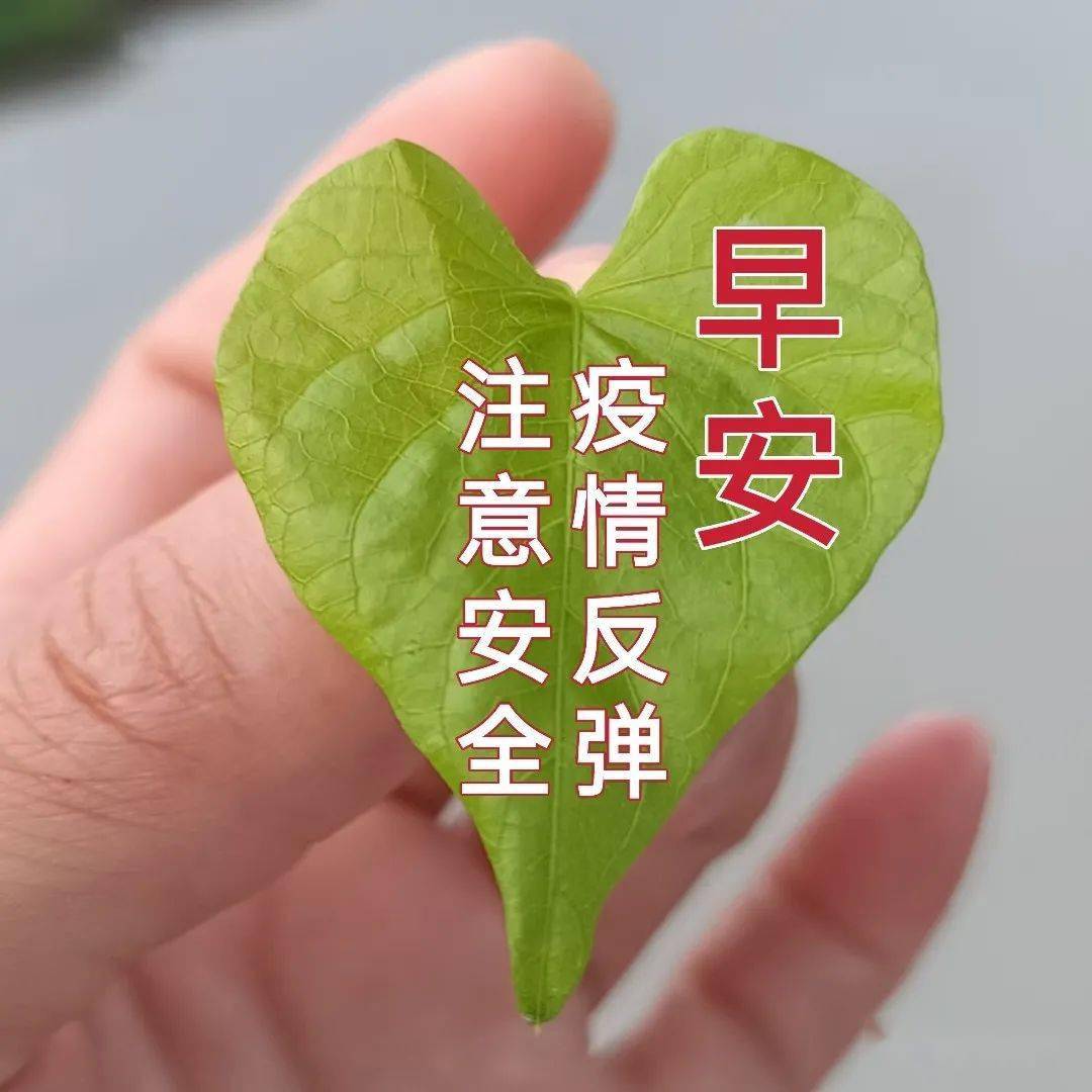 早上好表情包祝愿你一帆风顺一生幸福健康与平安