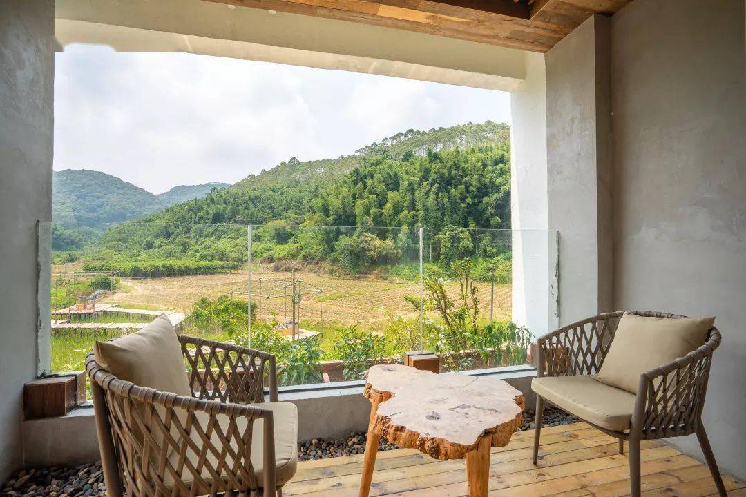 藏在增城稻田里民宿,空中泳池,温泉丨花溪于舍_感觉_田园_竹隐房