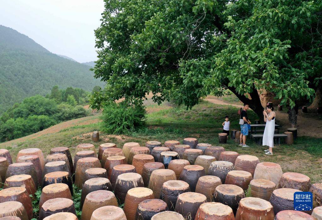 大山里的“陶艺村”：用艺术为乡村振兴赋能