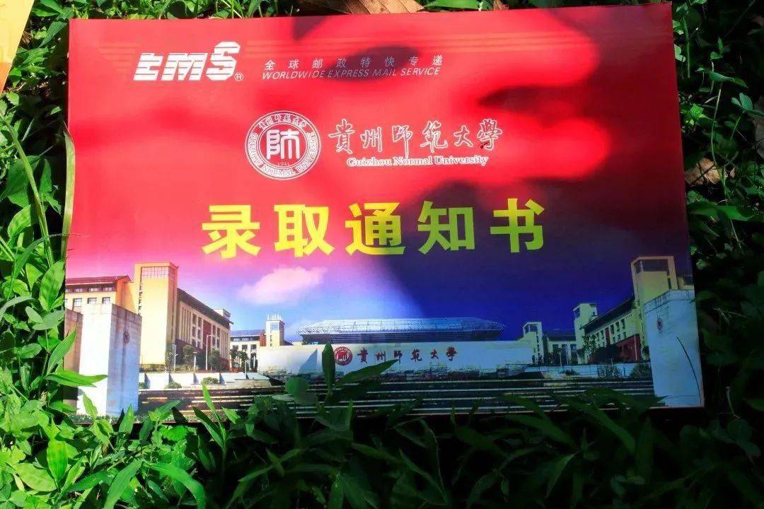 2024年安徽大学皖江学院录取分数线（2024各省份录取分数线及位次排名）_安徽各大学排名录取分数线_安徽各大学录取分数线及位次