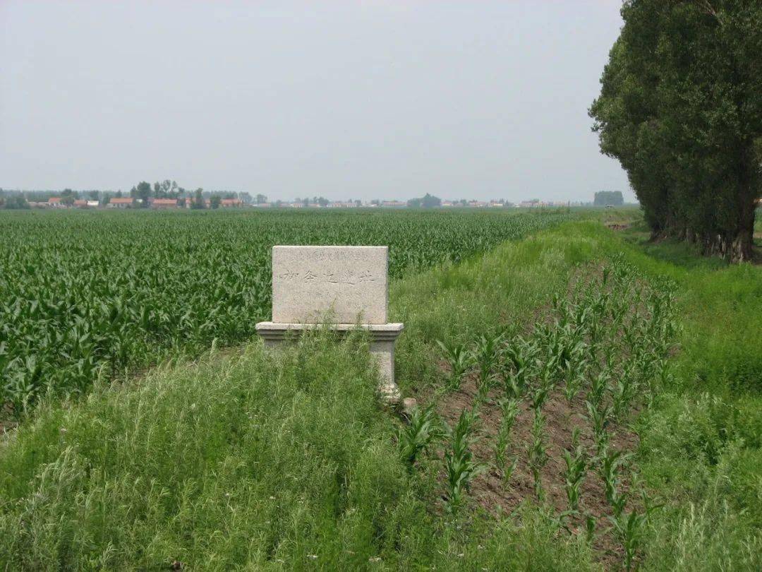 绿色长城清代柳条边