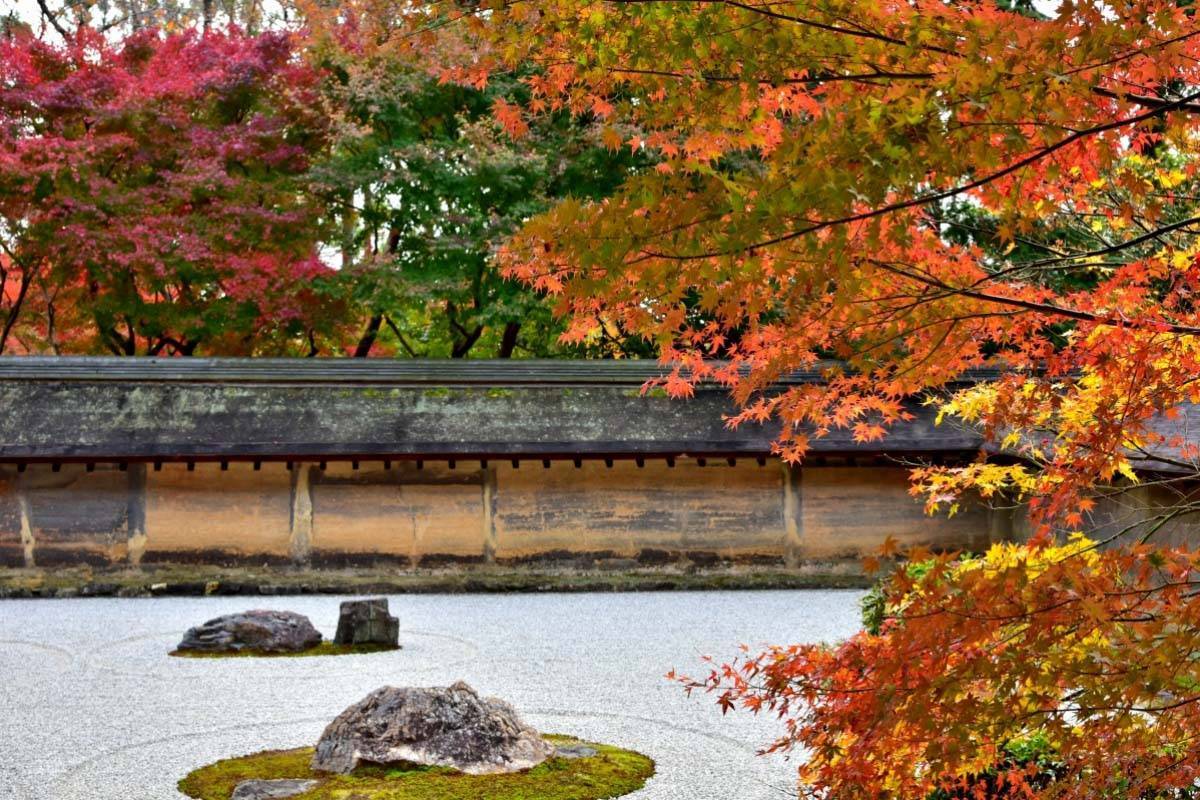 日本龙安寺枯山水庭院图片