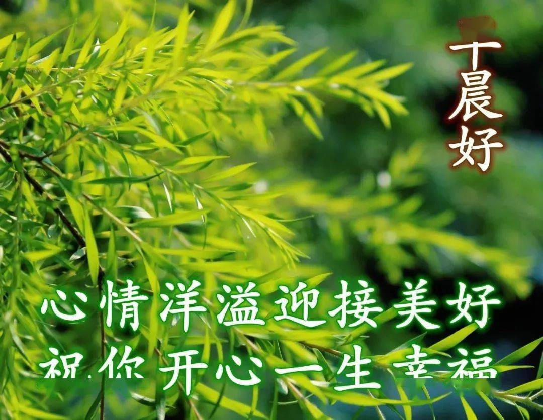 夏天清新漂亮早上好圖片帶字帶祝福語 好看的夏日風景早安問候祝福