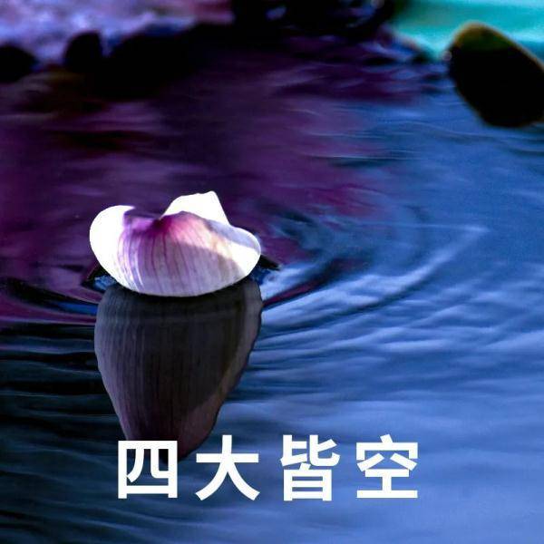 好运加满该更新你的表情包和头像了