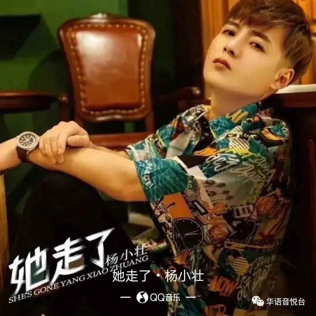 【新歌推荐】杨小壮 -《她走了》+DJ版_贾玉宝_梦也_承诺