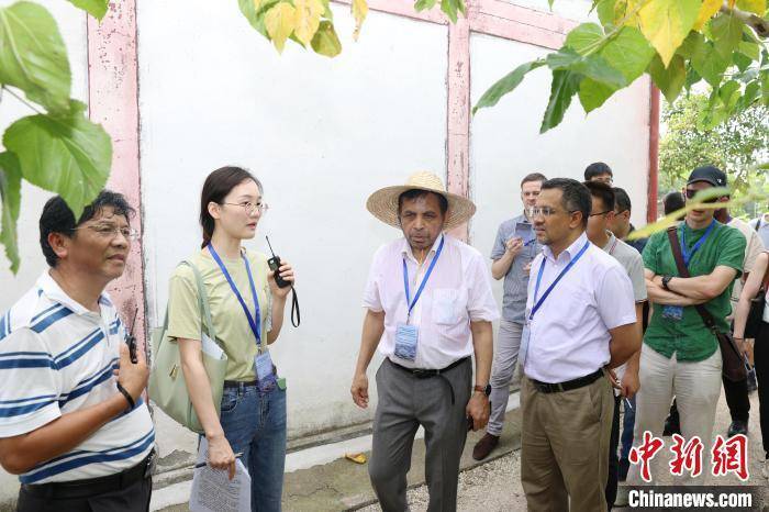 22国驻华使馆走进浙江 看农遗“活化石”如何赋能乡村