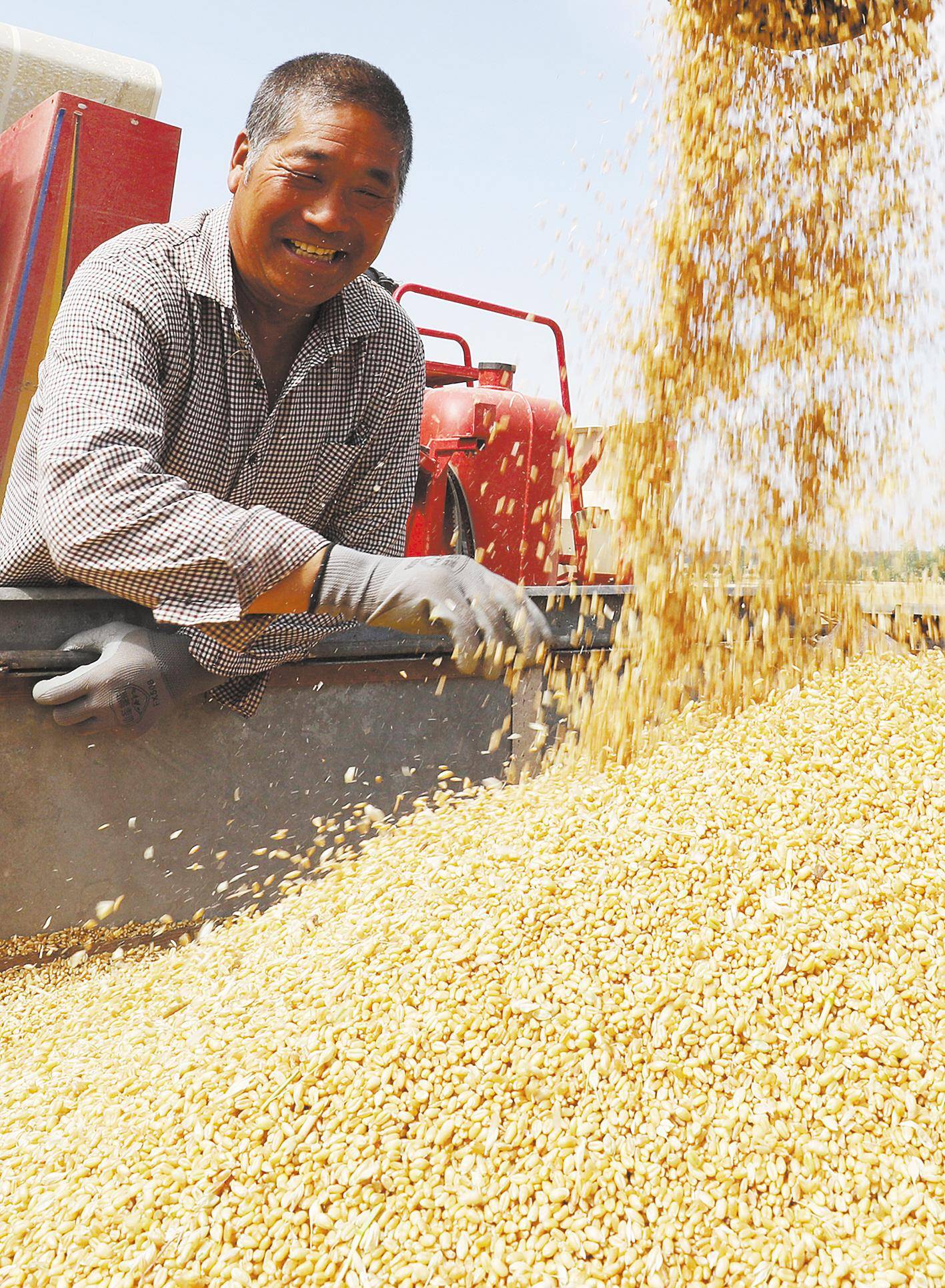 全国夏粮实现增产丰收总产量14739万吨比上年增长1
