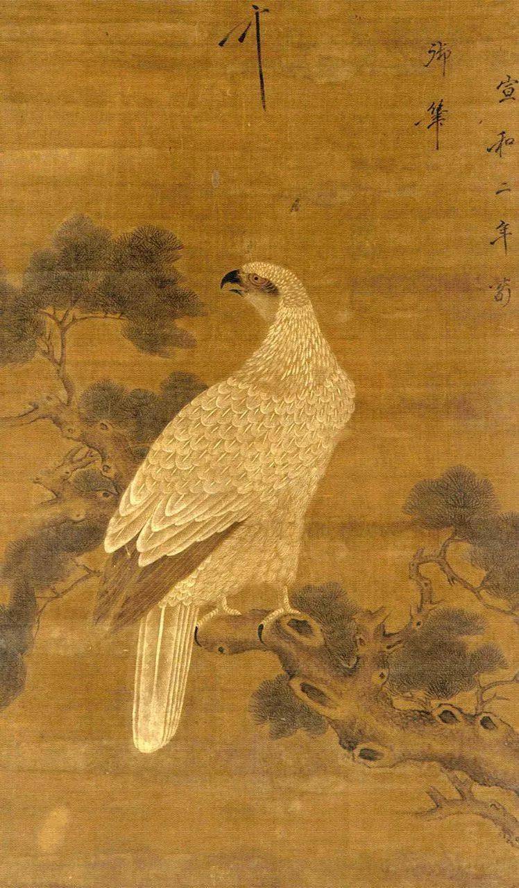 鸟兽绘白鹰