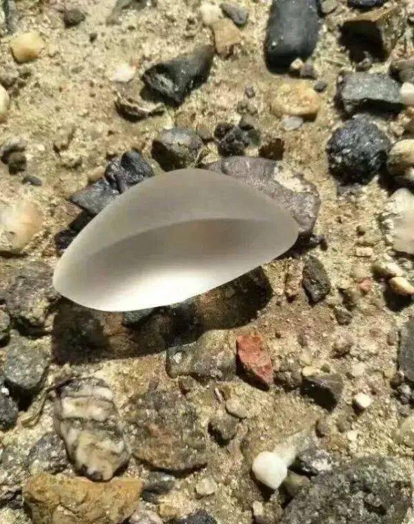 新疆阿勒泰北屯,杜热地区戈壁滩寻宝金丝玉,宝石光_专业_福海_人口