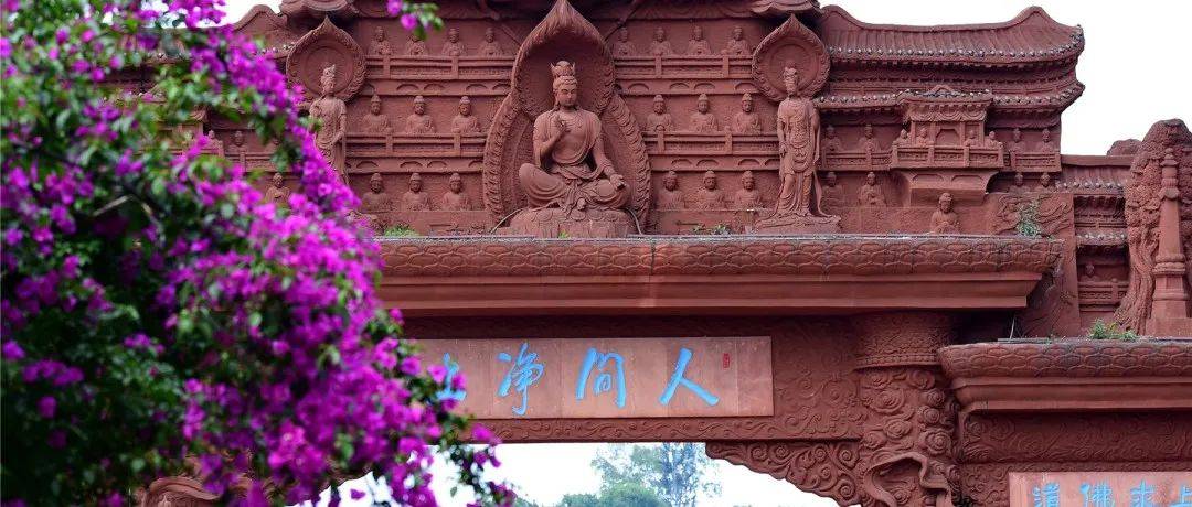 大佛脚下的慢生活丨时光悠悠 岁月静好_钟鸣_夏日_知了