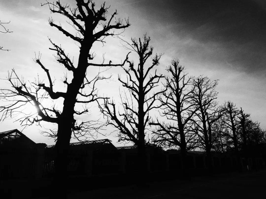 米林:邂逅心灵的边界_things_摄影_there