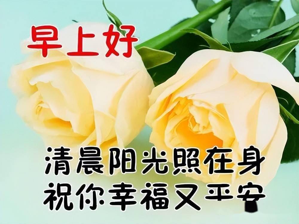 最新早上好表情包一声问候一句祝福有你真好