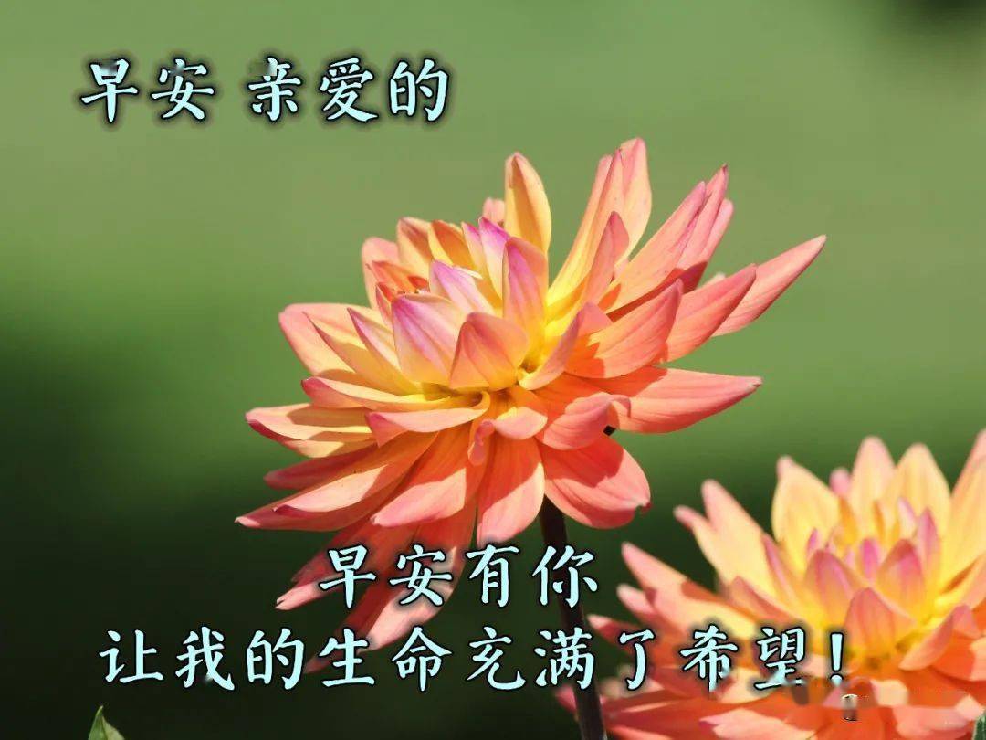 早上好祝福图带字热天早安问候家人朋友的早晨群发祝福短信