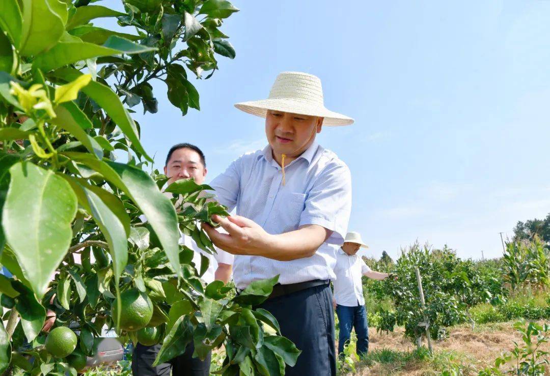 干好群众想干的事——沈先武蹲点调研街河市镇纪实