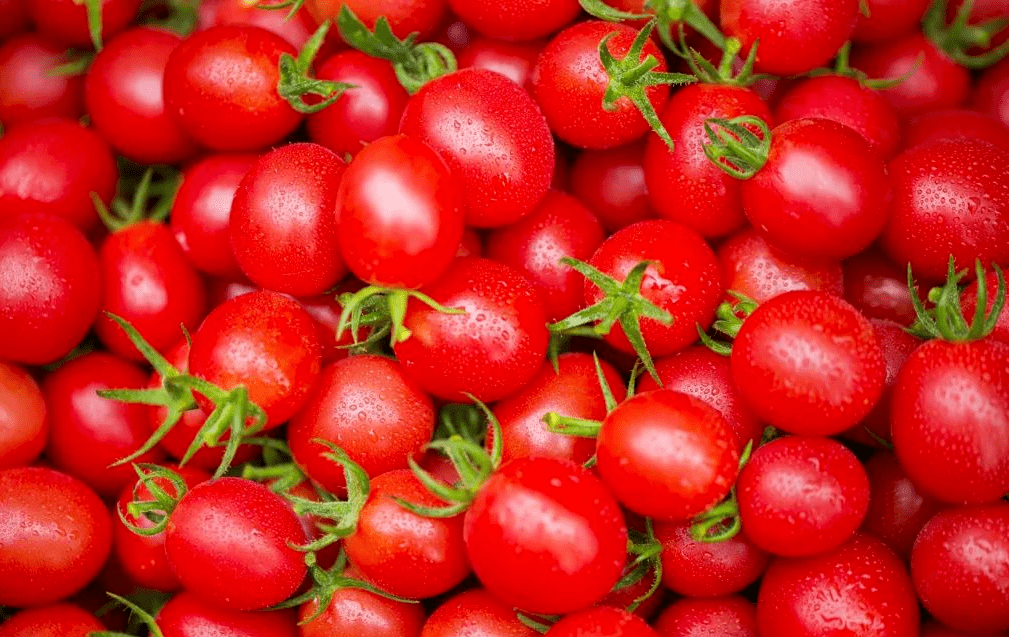 夏日宝石|石龙"七彩小番茄",多汁多彩颜值高_自然_孩子_山地越野