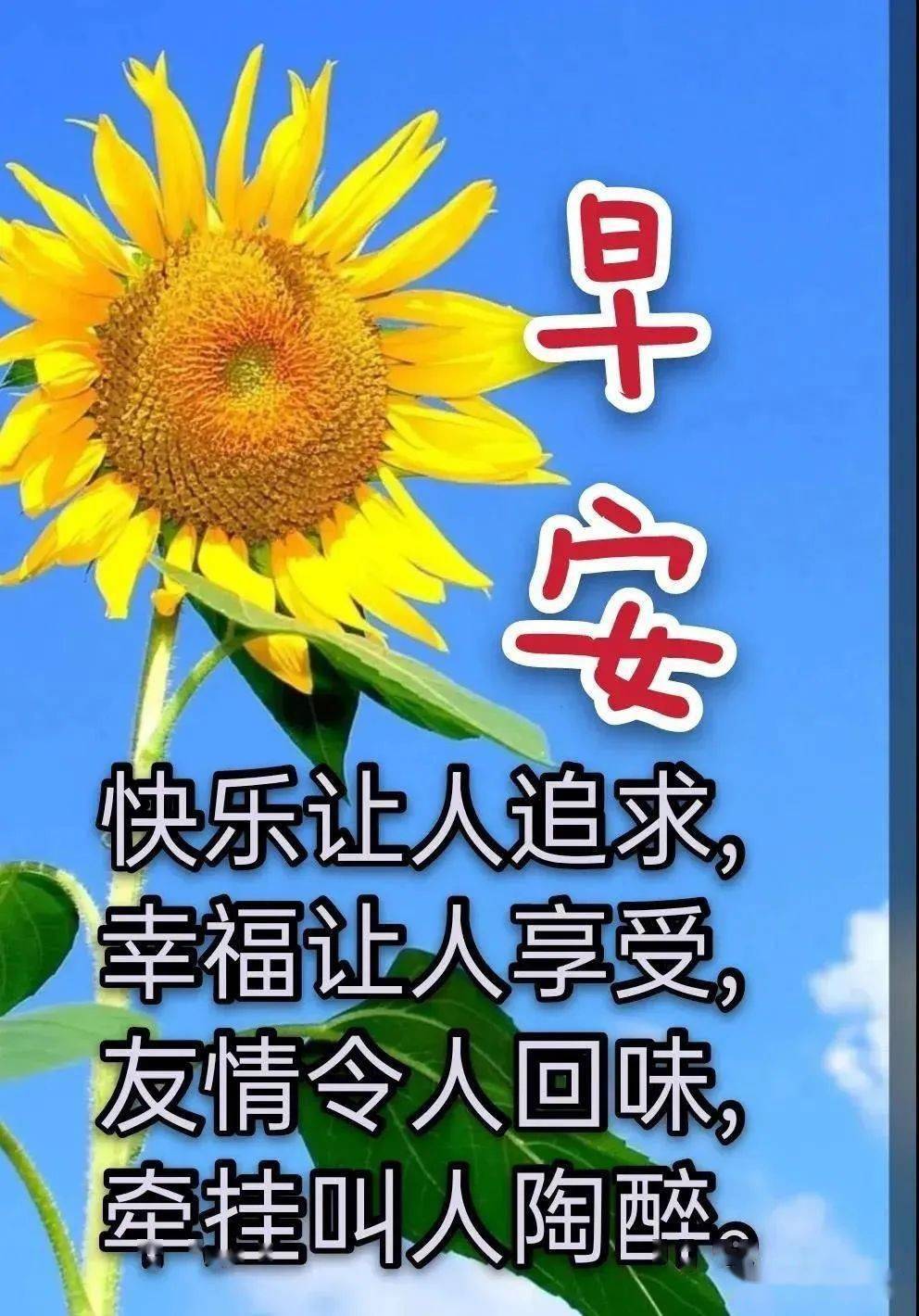 非常好看的夏天唯美温馨的早安图片带字 早上好问候语温馨图片带字