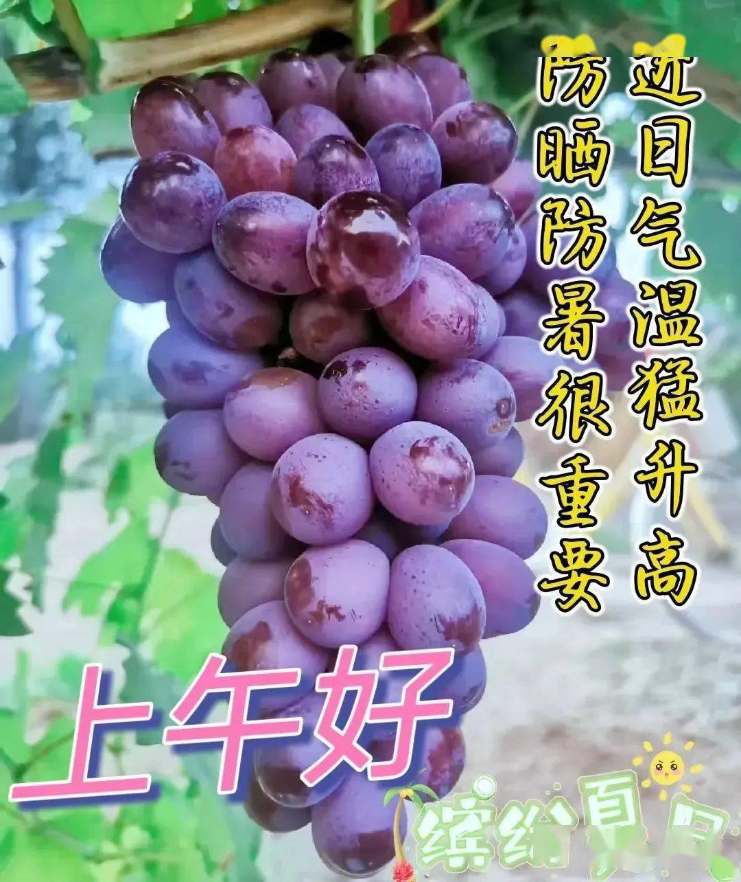 早上好圖片帶字帶祝福語2022唯美夏天早安問候祝福語圖片文字精選