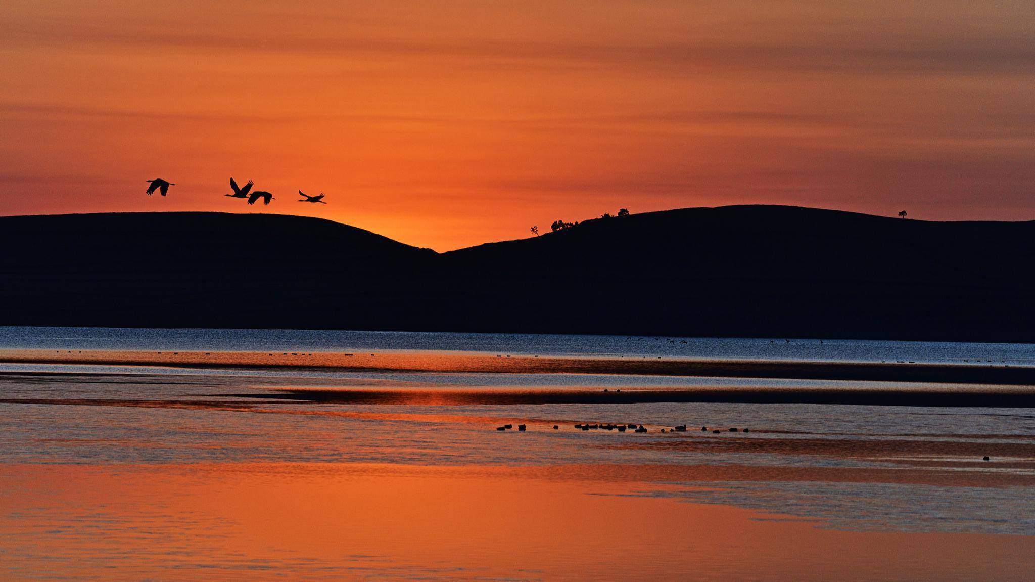 一首淡雅清新的小诗,神韵悠长,广被流传,充满惊喜和感叹_张祜_金陵