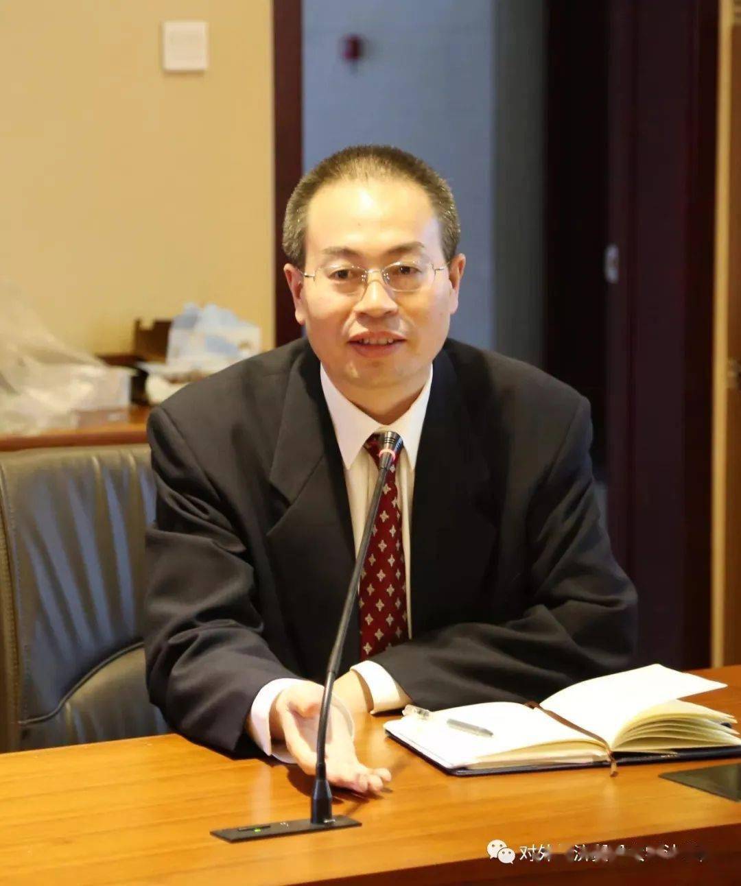 知堂植德律师事务所创始合伙人司军艳大成律师事务所顾问上海电力大学