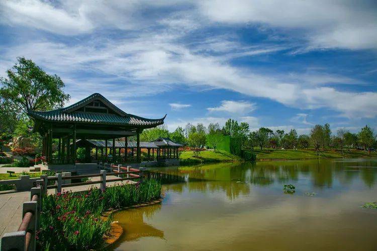 晋城雨后的龙马湖,宛如仙境!_摄影家协会_烟雾_少毅