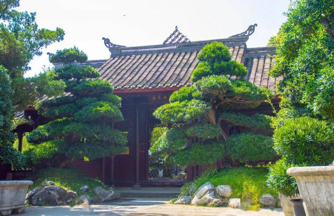 三邑园艺——大暑将至,此去闲游_盆景_艺术_温江