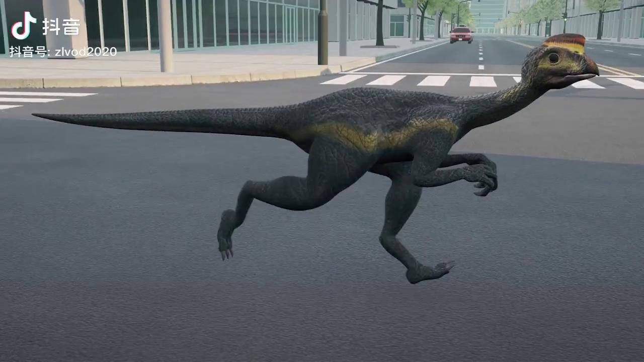 恐龙时代带你了解最聪明的恐龙——偷蛋龙抖音青少年 恐龙 精彩片段