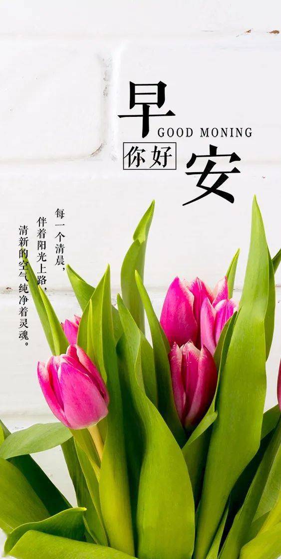 每日一签日历图片,今日7月21日,早安!
