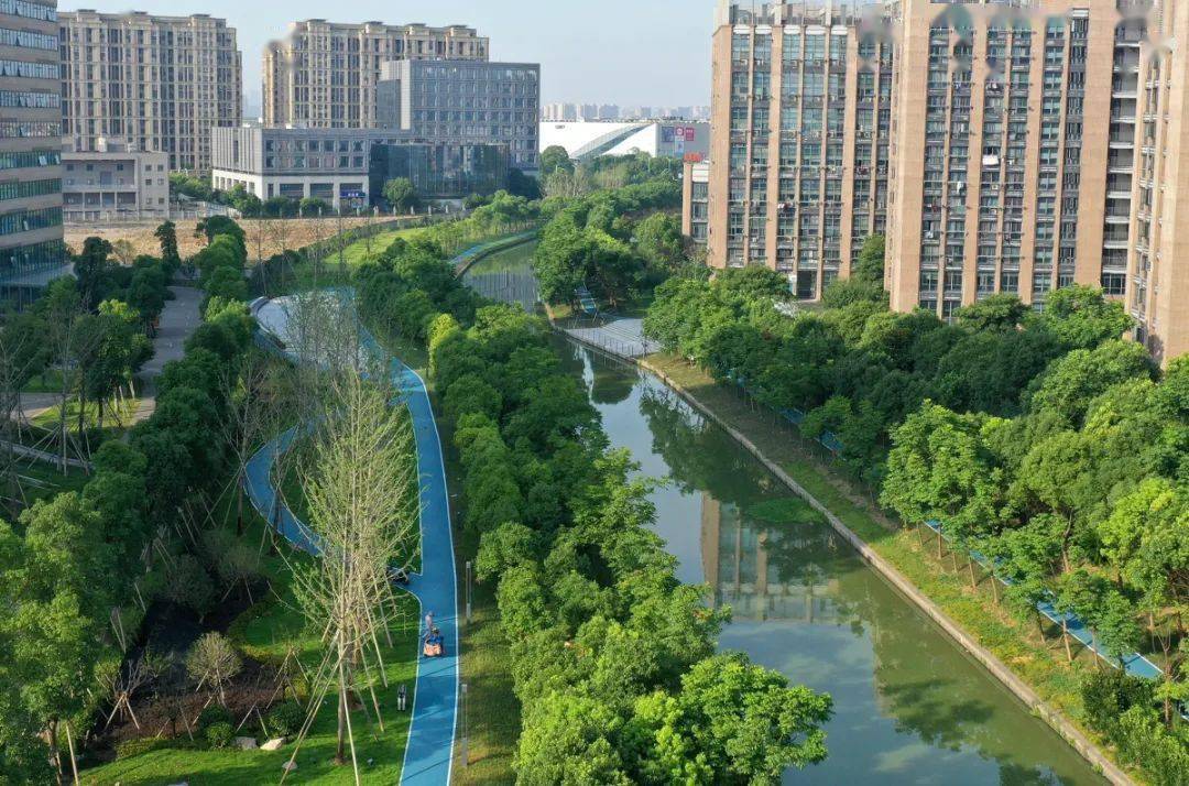 1公里,镇海这条绿道投用_改造_健身_庄市街道