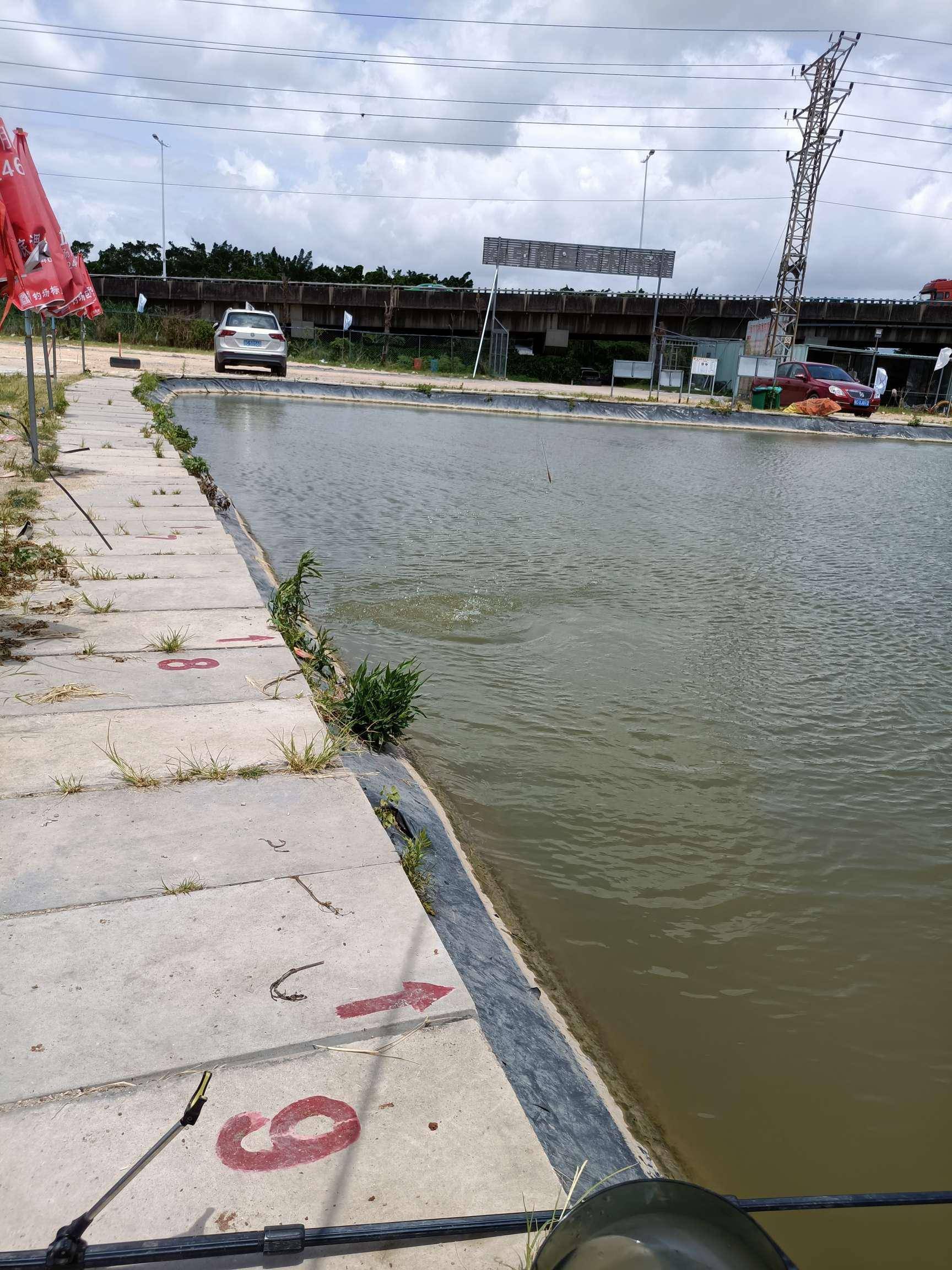 黑坑爆连快乐加倍重启爆护之旅