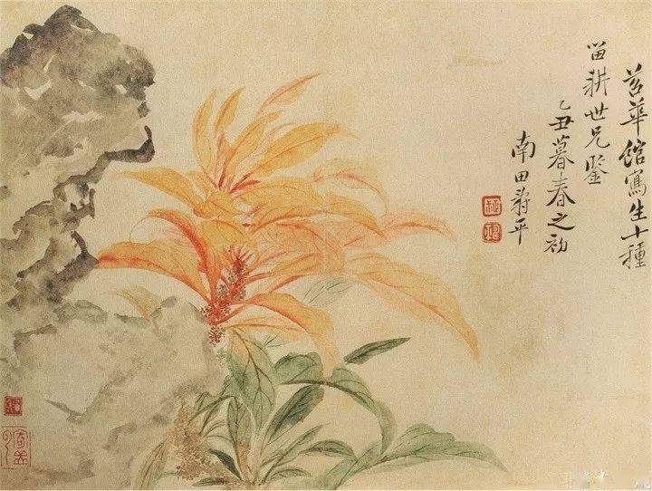 恽寿平235幅没骨花鸟画高清欣赏_南田_王翚_常州