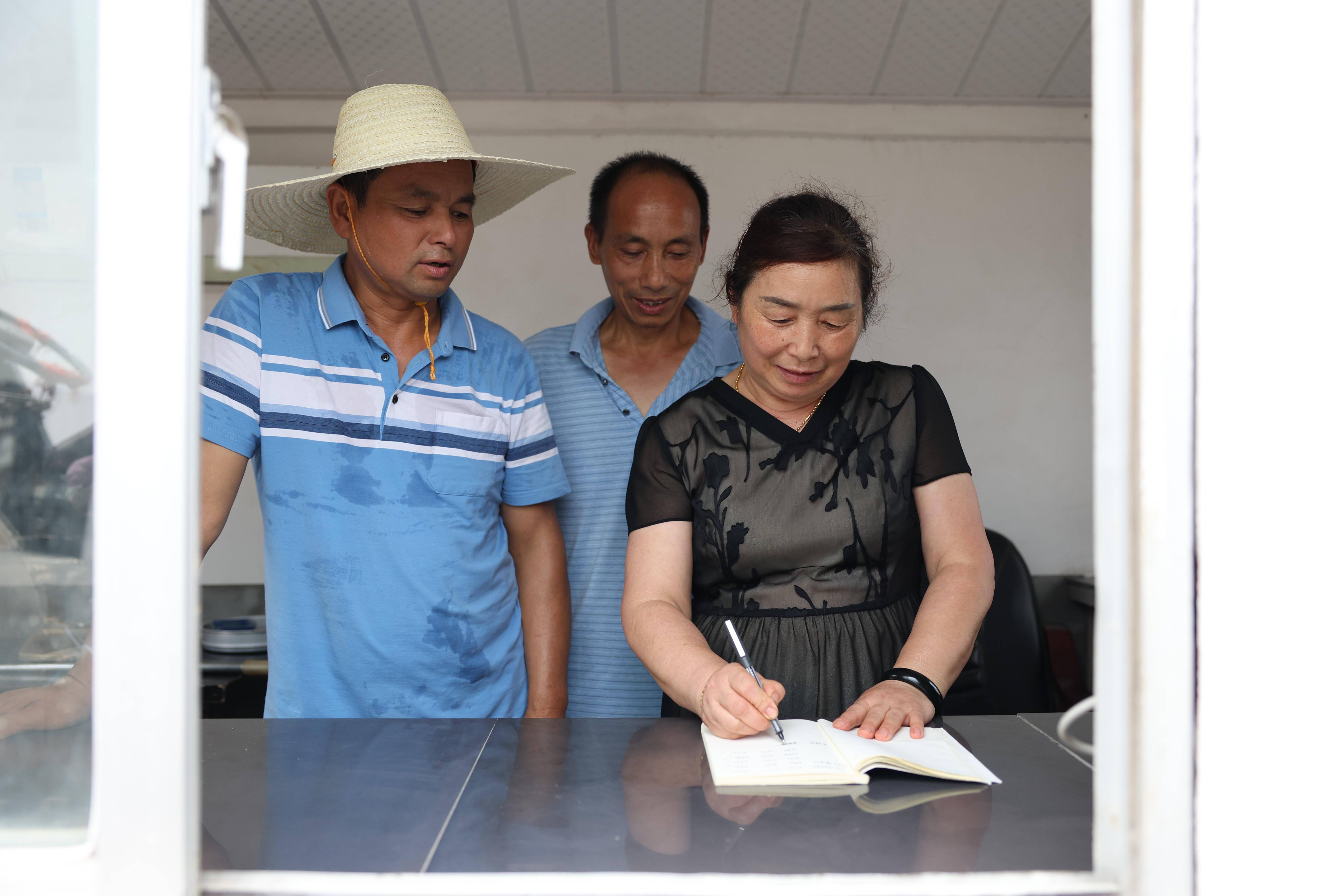 湖南沅江早稻熟收购忙