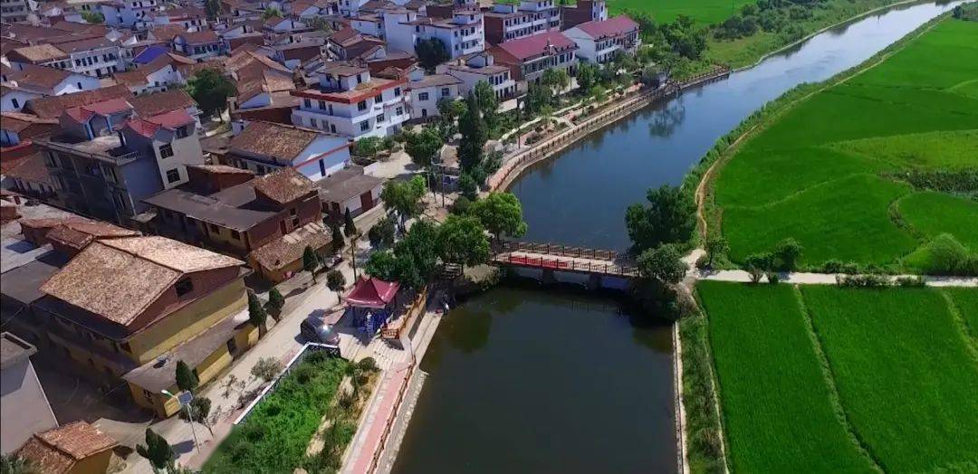 村党支书谈发展花田村一步一脚印共绘花田梦