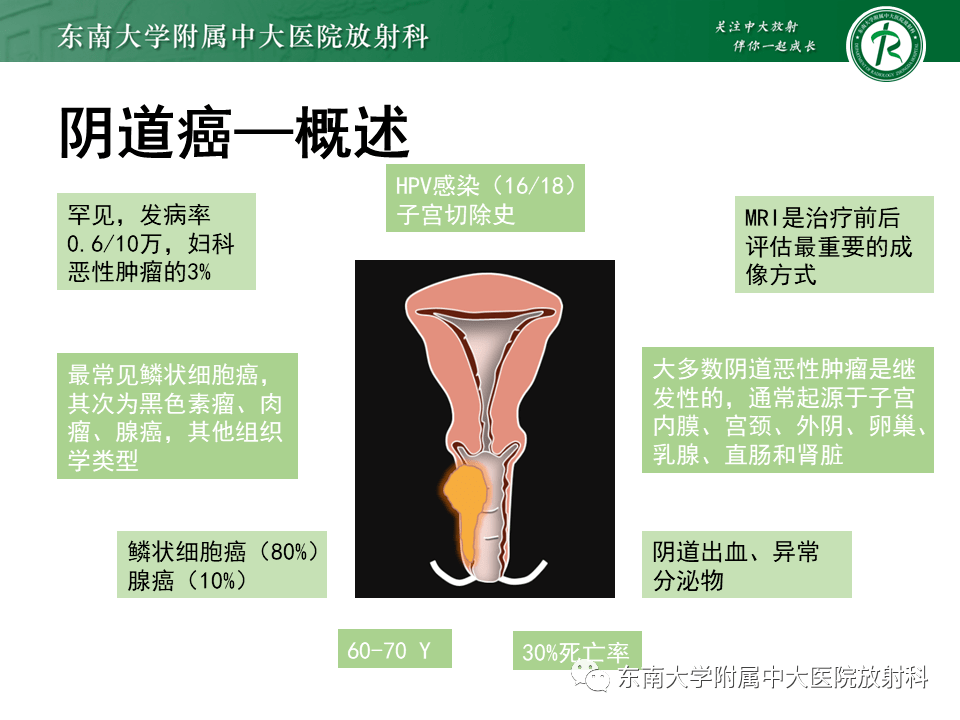 女性尿道生殖膈區佔位性病變的影像診斷_平臺_解剖_髕骨