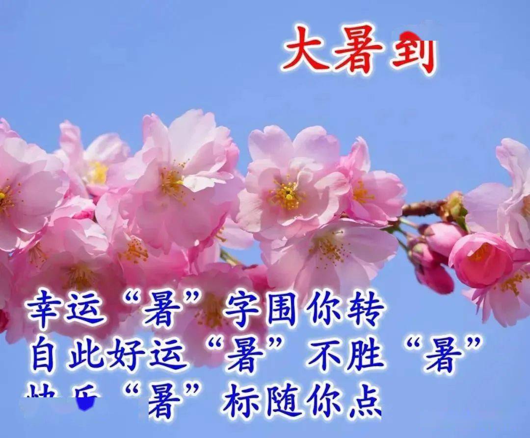 大暑最新早上好表情动图大全最美早上好动态表情图