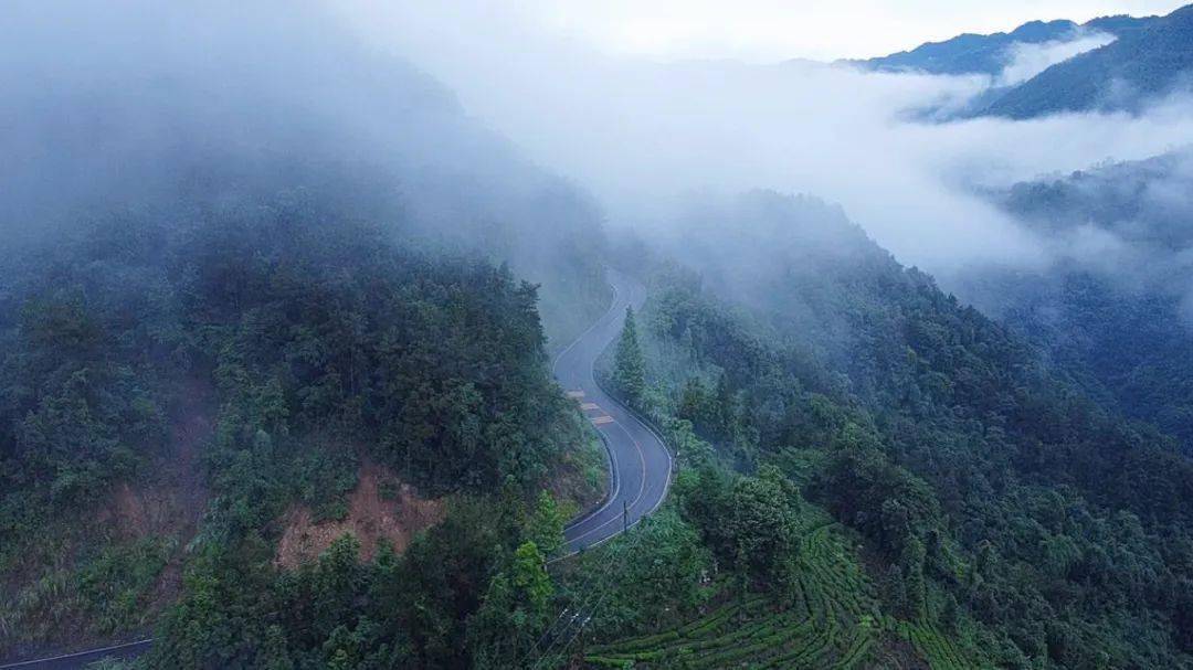 玩转大老岭 | 叮!您有一份森林避暑攻略待查收!