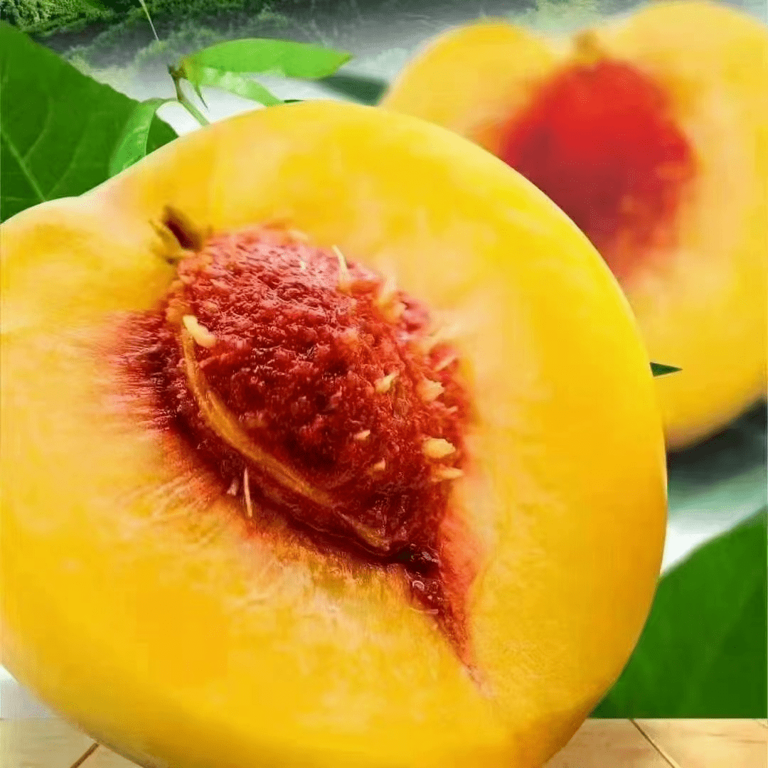 正宗炎陵高山黄桃开园啦现摘现发产地直供点开有优惠券领取限量