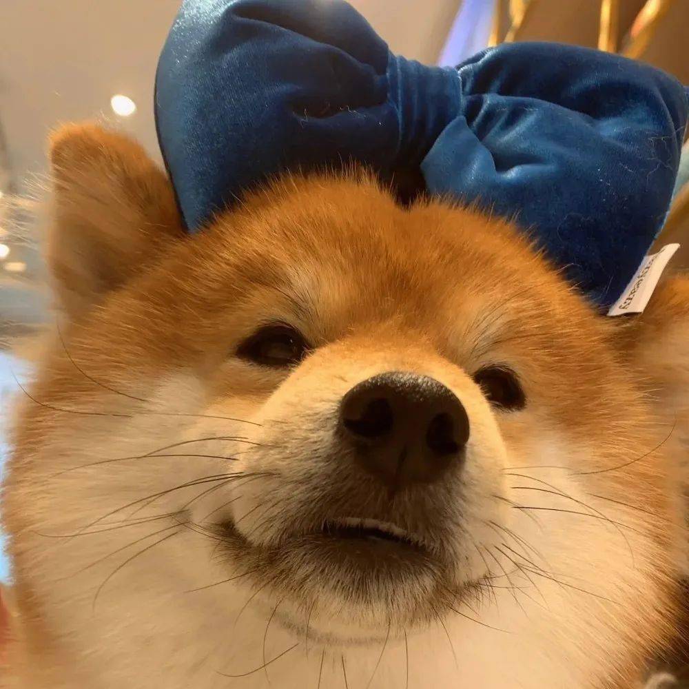 头像 | 微信头像 这组超喜欢! 676767