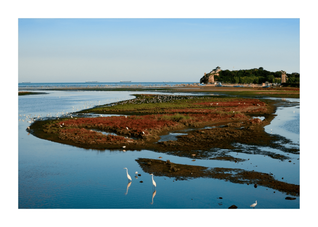 地市动态秦皇岛海滨今更美
